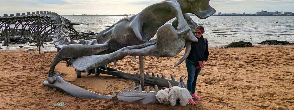 chien de race bichon havanais et sa maîtresse devant la gueule de la sulpture du serpent d'océan à marée basse à saint-brevin