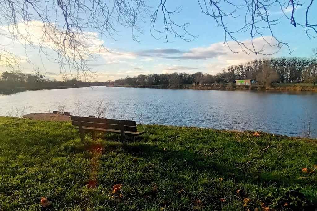 Balades & Randonnées avec son chien :