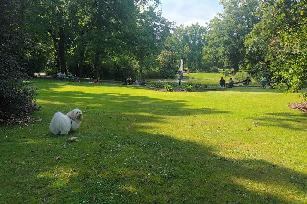 Le Jardin des Plantes à Nantes avec son Chien : Un Incontournable
