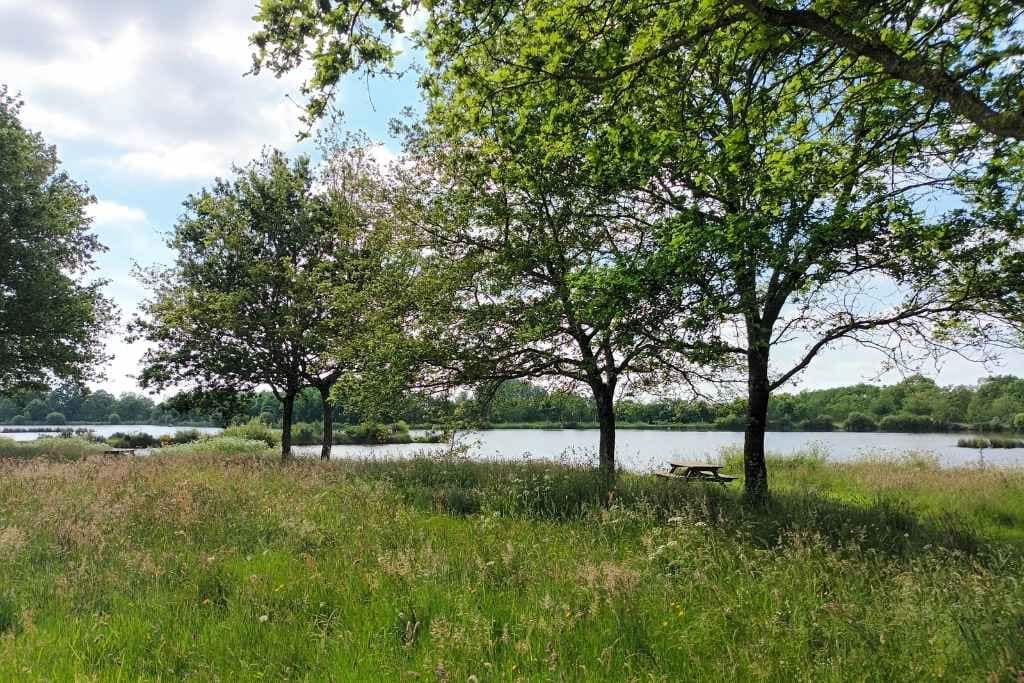 Balades & Randonnées avec son chien : vue sur la prairie, une table de pique-nique du plan d'eau du grand fay lors d'une balade avec mon chien