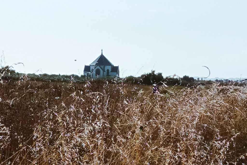 Escapades au-delà de la Loire-Atlantique : église de la pointe de Penvins à Sarzeau prise derrière herbes sauvage lors de notre découverte avec mon chien