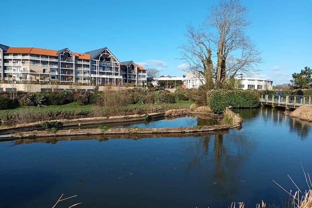 Parcs et Jardins avec son chien : rizière du jardin botanique de la ria à Pornic