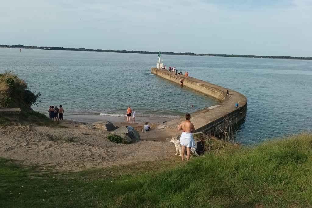Balades & Randonnées avec son chien :