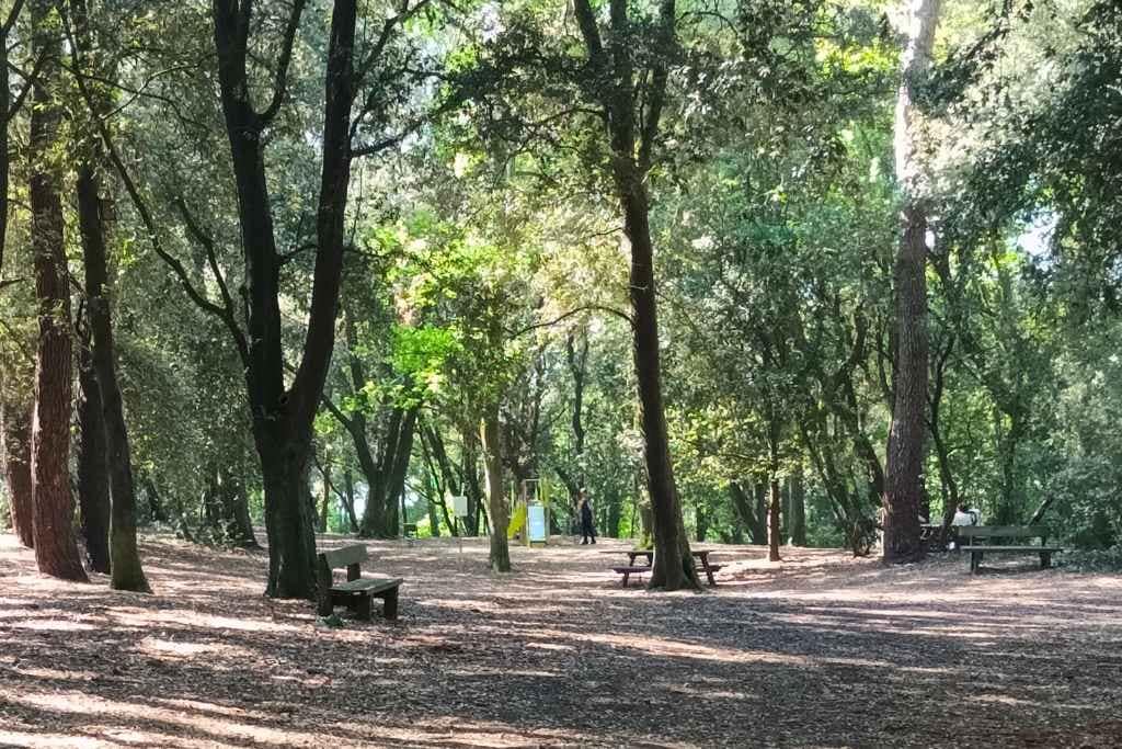 Balades & Randonnées avec son chien : vue sur l'aire de jeux du bois roy à Saint-Michel-Chef-Chef pendant une balade canine en Loire-Atlantique