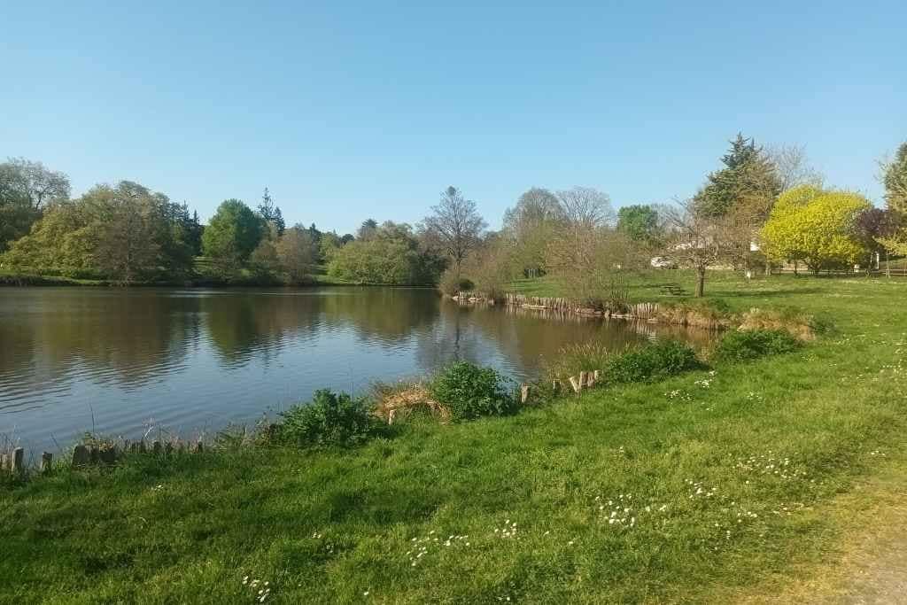 Balades & Randonnées avec son chien : Vue de l’Étang des Platanes à Missillac pendant une balade dogfriendly