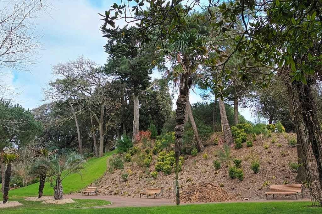 Parc des Dryades avec son chien : un lieu calme pour une promenade agréable à la Baule