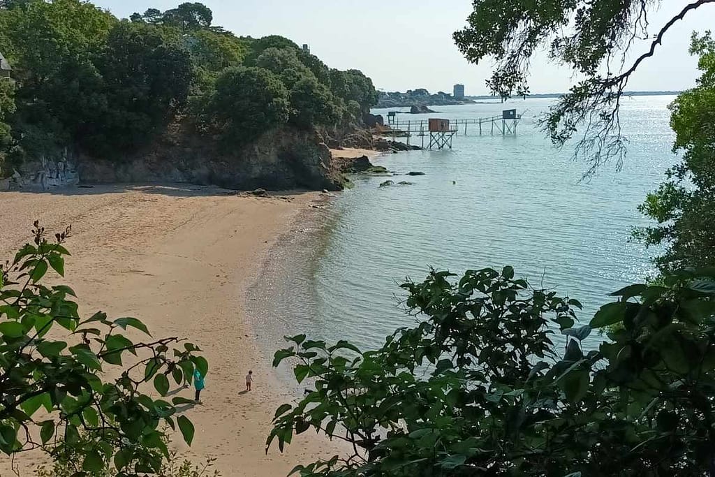 Les plages de Loire-Atlantique avec son chien : vue de la plage de Porcé en contrebas du sentier GR34