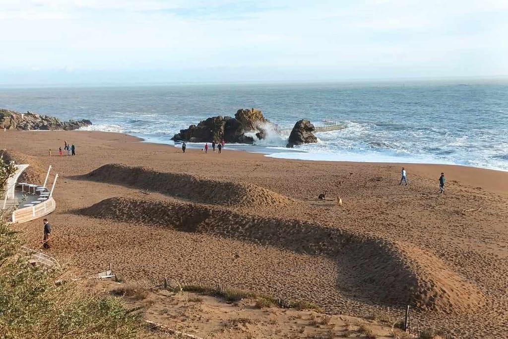 Les plages de Loire-Atlantique avec son chien : chiens et personnes profitant de la plage de Mr Hulot à Saint-Marc sur mer