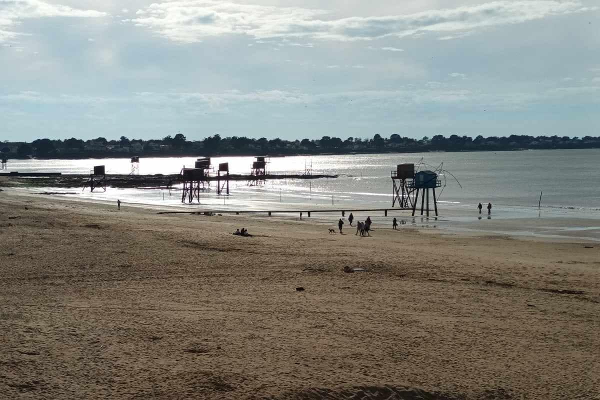 Inspirations & Séjours avec son chien : Promenade sur la plage de Tharon, sur la Côte de Jade, avec des chiens et leurs maîtres devant les pêcheries