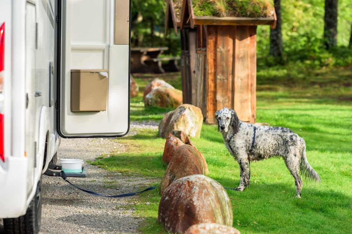 Camping avec son chien en Loire-Atlantique : Caravane dans parc verdoyant au camping L’Eden à La Baule – chien accepté