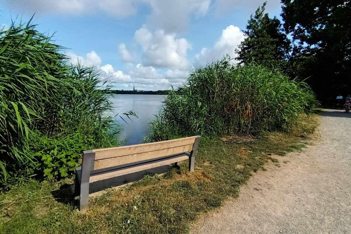 Balades & Randonnées avec son chien : banc sur le sentier du Bois Joalland faisant face à l'étang lors d'une balade chien