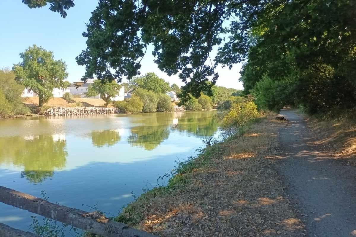 Balades & Randonnées avec son chien : sentier ombragé au bord de l'étang de Guindreff lors d'une balade chien à Saint-Nazaire