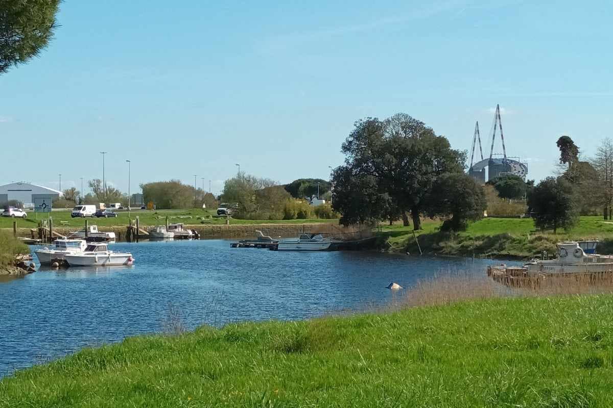Balades & Randonnées avec son chien : Balade avec son chien au port de Méan à Saint-Nazaire le long du Brivet