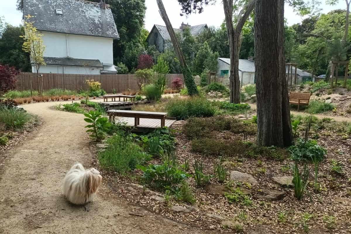 Balade avec son chien dans le parc Jean-et-Soizick-Fréour à Batz-sur-Mer