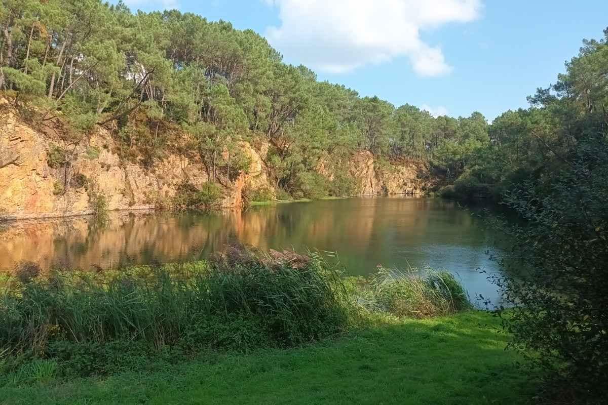 Balades & Randonnées avec son chien :
