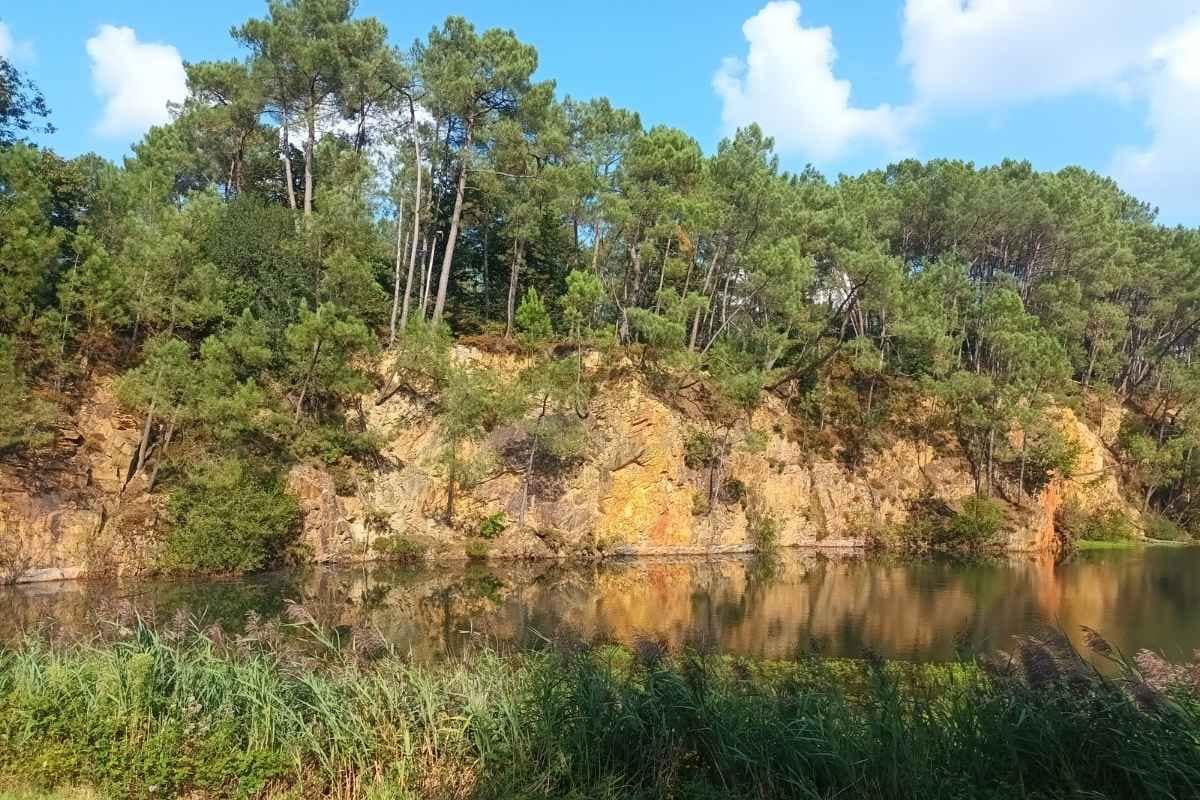 vue sur le lac, les falaises ocres surmontées de pins verts sur le site naturel de bernugat lors d'une sortie nature avec mon chien