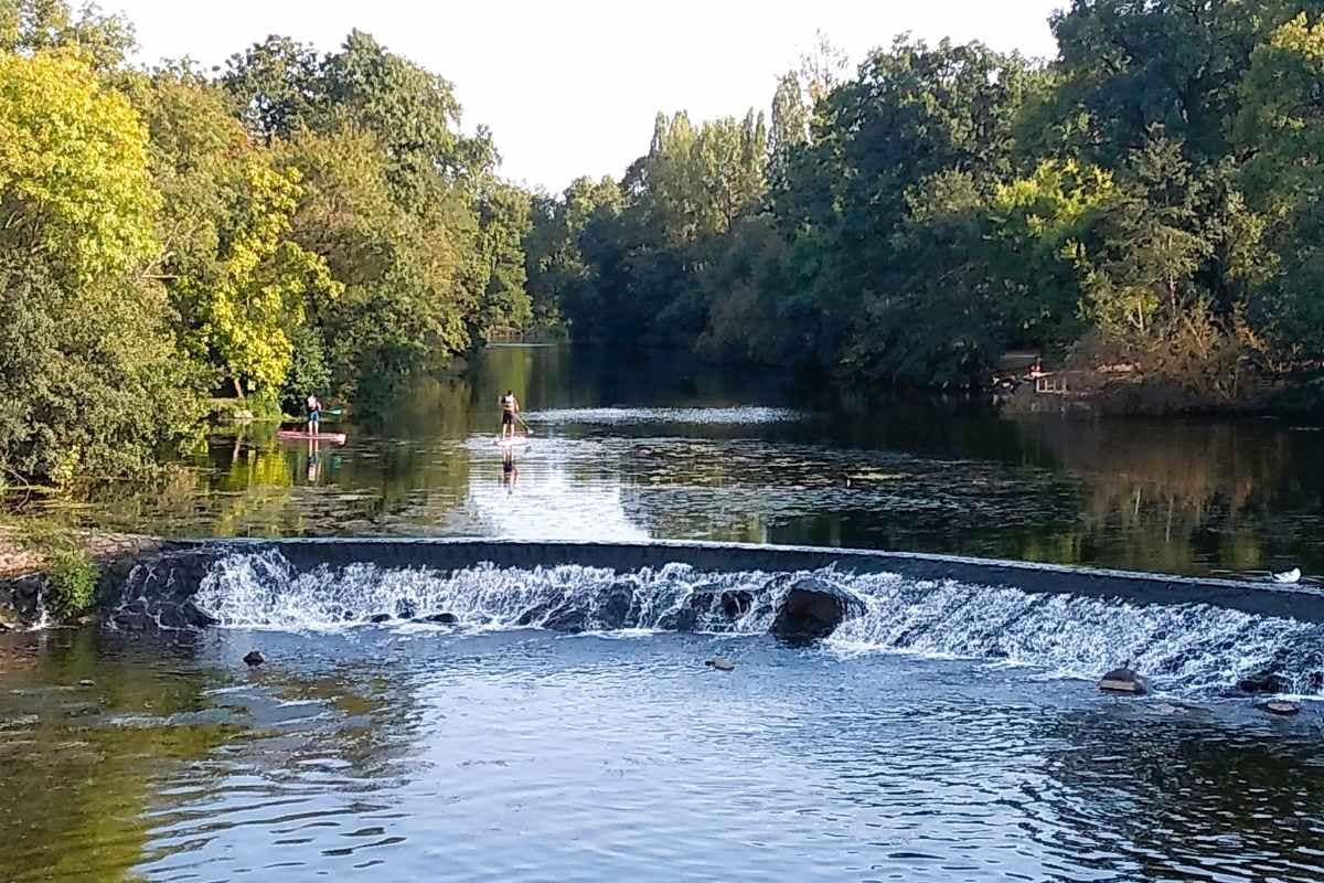 Parcs et Jardins avec son chien