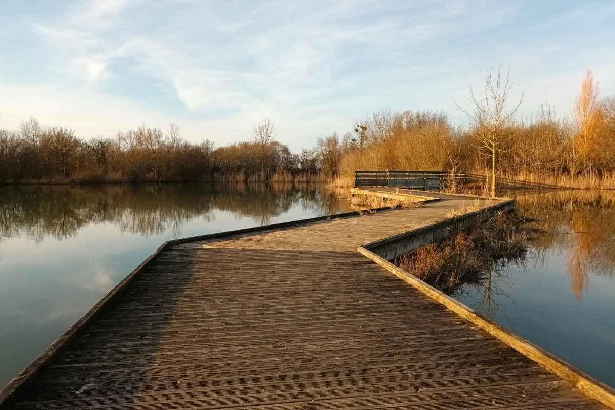 passerelle bois surplombant le plan d'eau de la côte à cordemais en Loire-Atlantique
