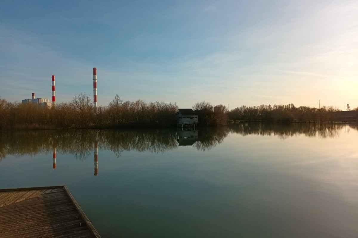 Balades & Randonnées avec son chien :
