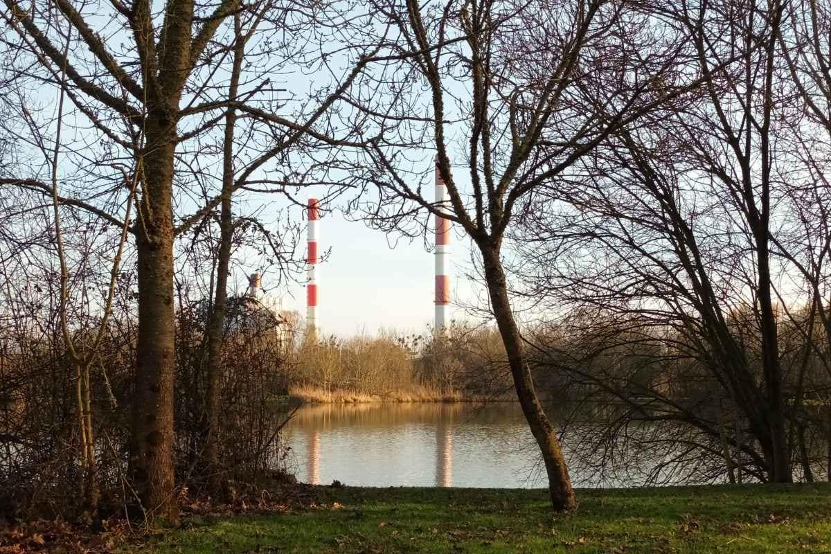 Balades & Randonnées avec son chien :