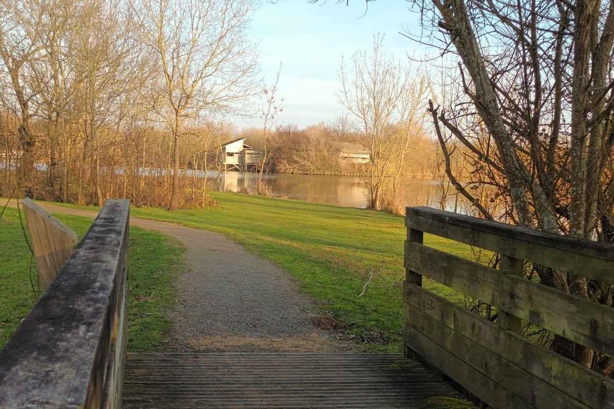 Balades & Randonnées avec son chien :