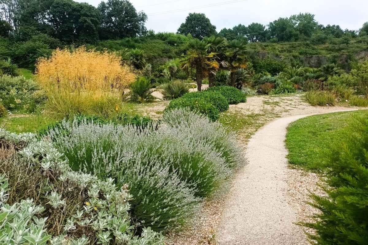 Parcs et Jardins avec son chien : sentier du jardin méditerranéen à Saint-Herblain en Loire-Atlantique