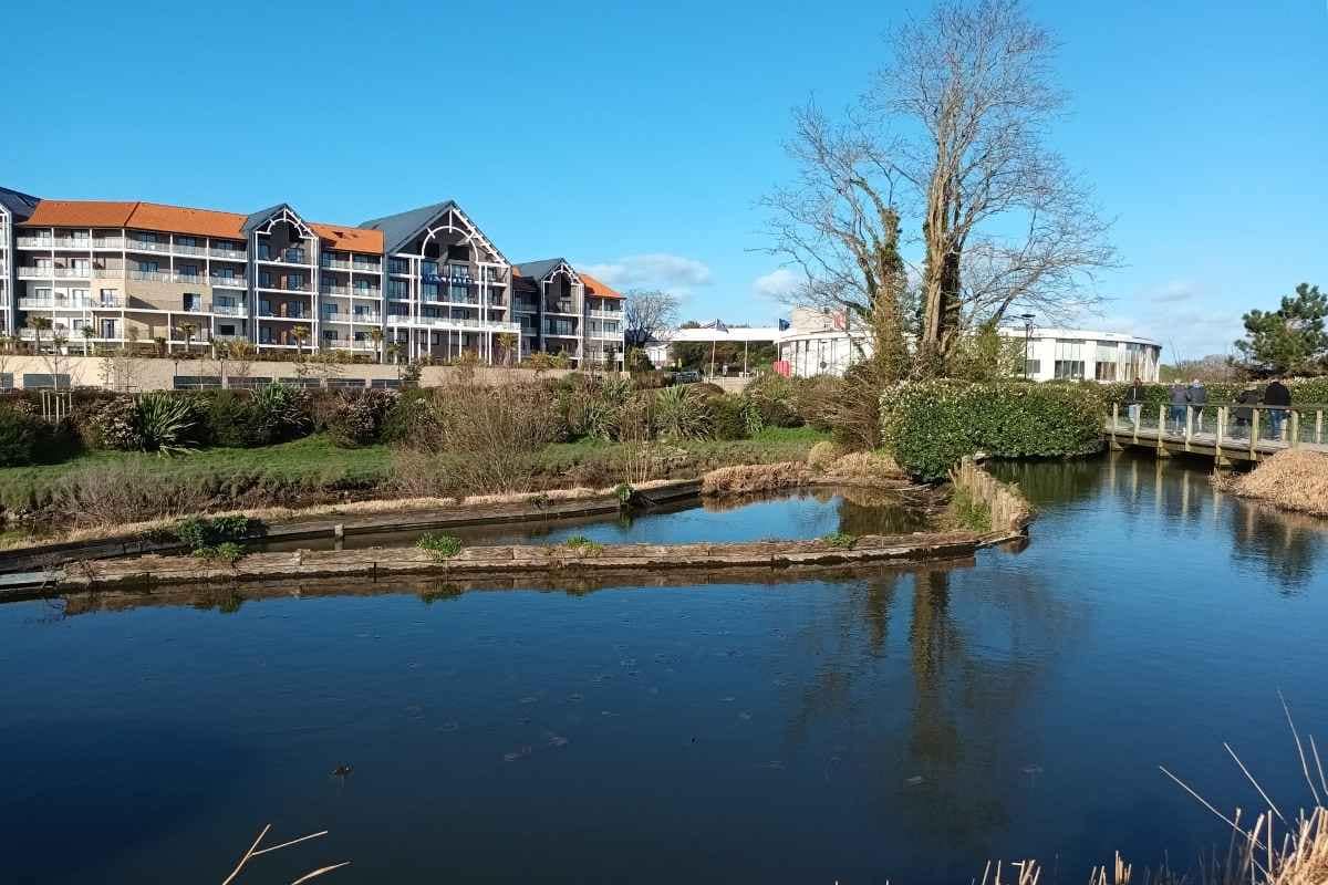 Parcs et Jardins avec son chien : rizière du jardin botanique de la ria à Pornic