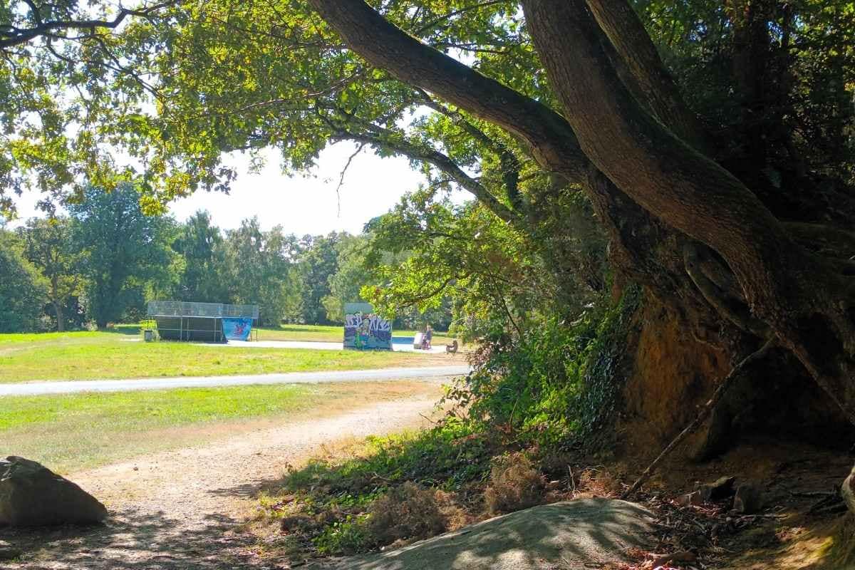 Balades & Randonnées avec son chien :