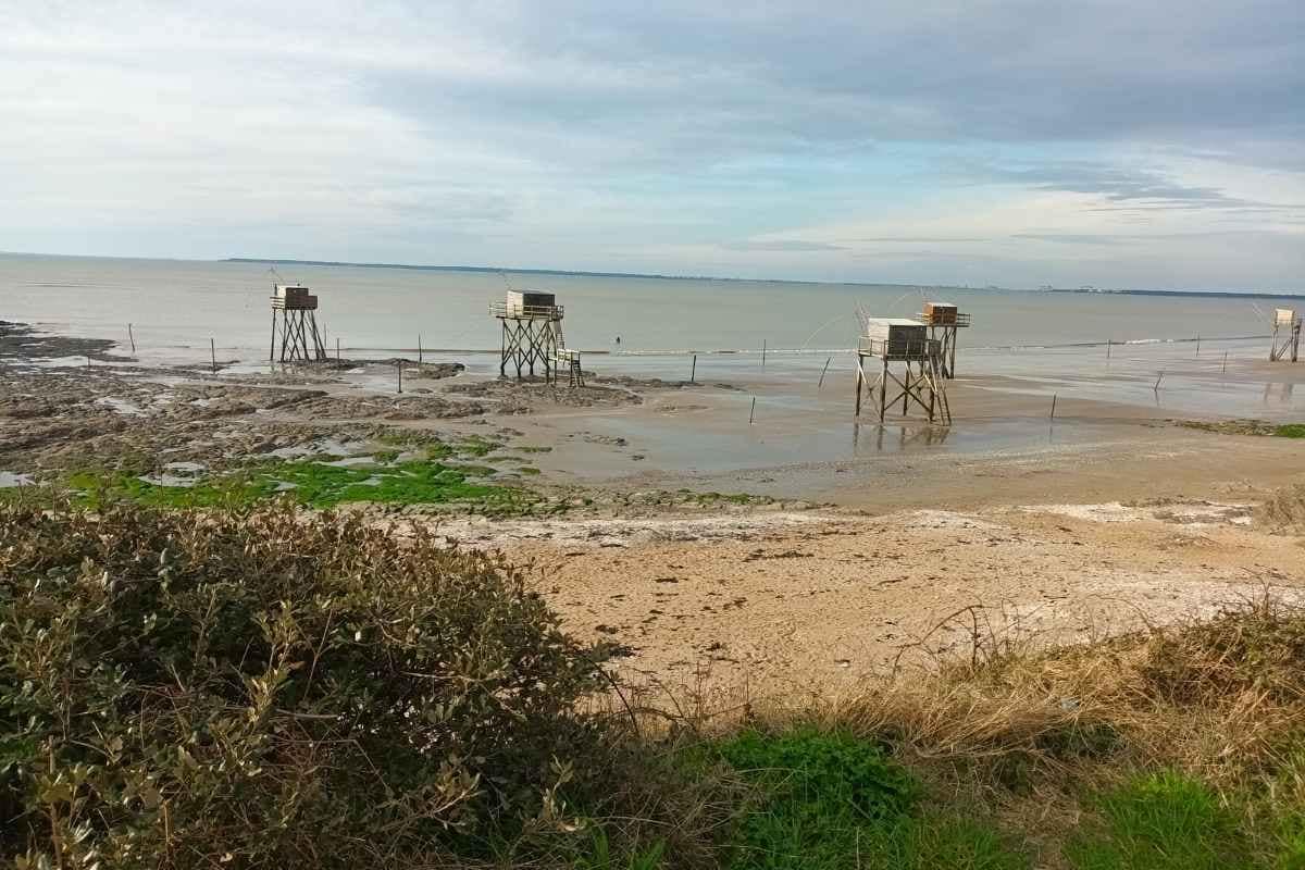 Plages de Loire-Atlantique avec son chien : cinq pêcheries situés sur la plage de tharon-plage
