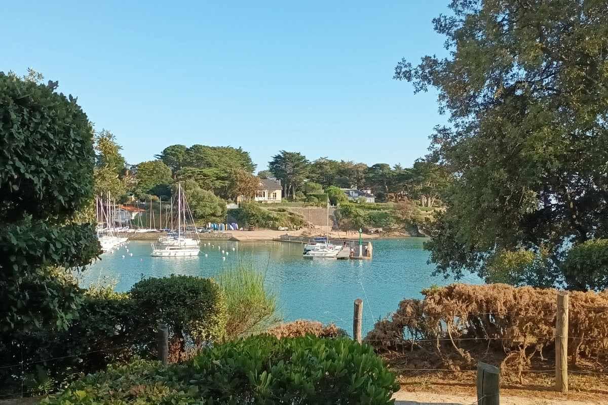 Inspirations & Séjours avec son chien : Bateaux de plaisance visibles depuis le sentier côtier à Pornic, vue sur l’océan