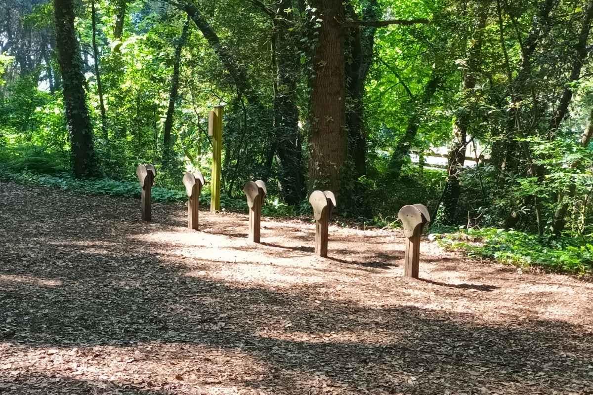 vue sur le parcours sportif du bois roy à Saint-Michel-Chef-Chef pendant une balade en forêt avec mon chien en Loire-Atlantique