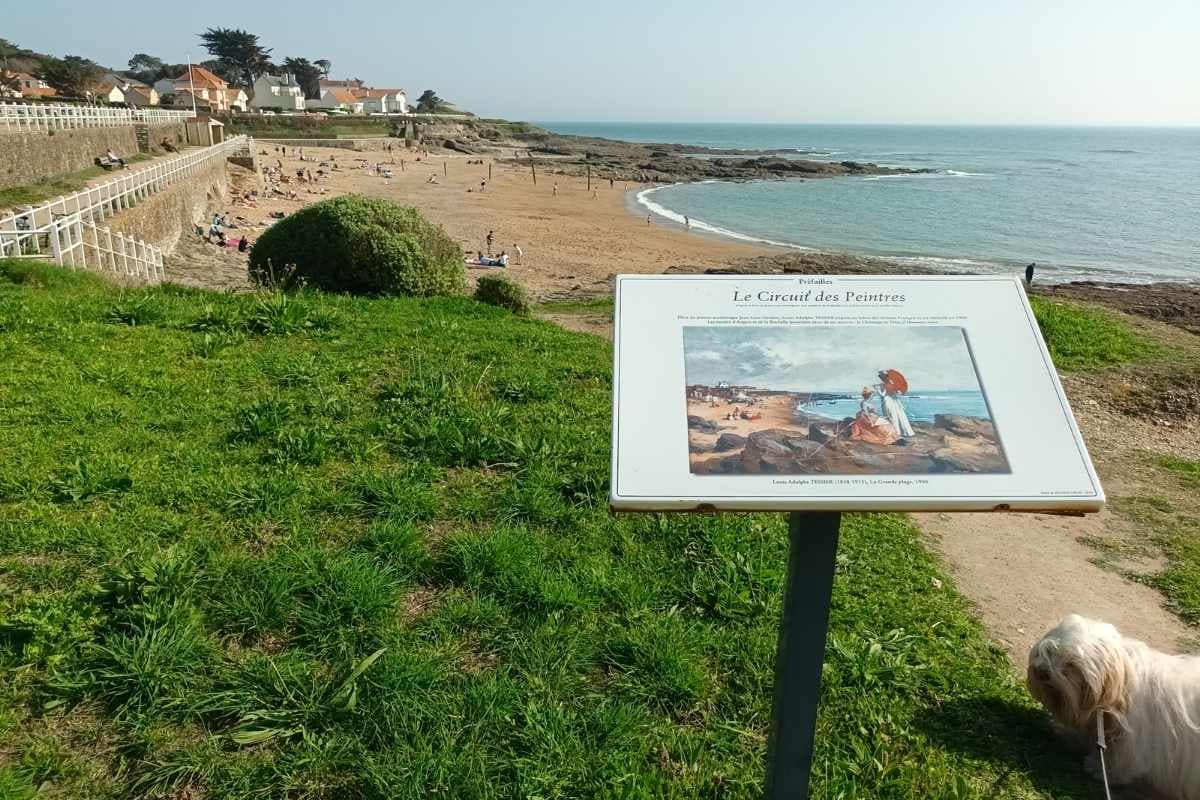 Balades & Randonnées avec son chien : chien sur le sentier devant le panneau d'une exposition