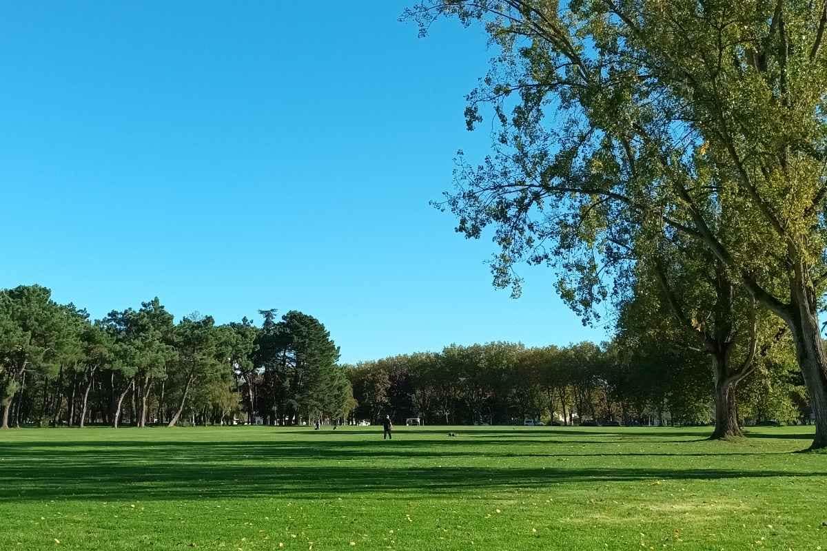 Parcs et Jardins avec son chien : des maîtres et leurs chiens jouant sur la plaine du parc paysager avec en arrière plan la partie boisée
