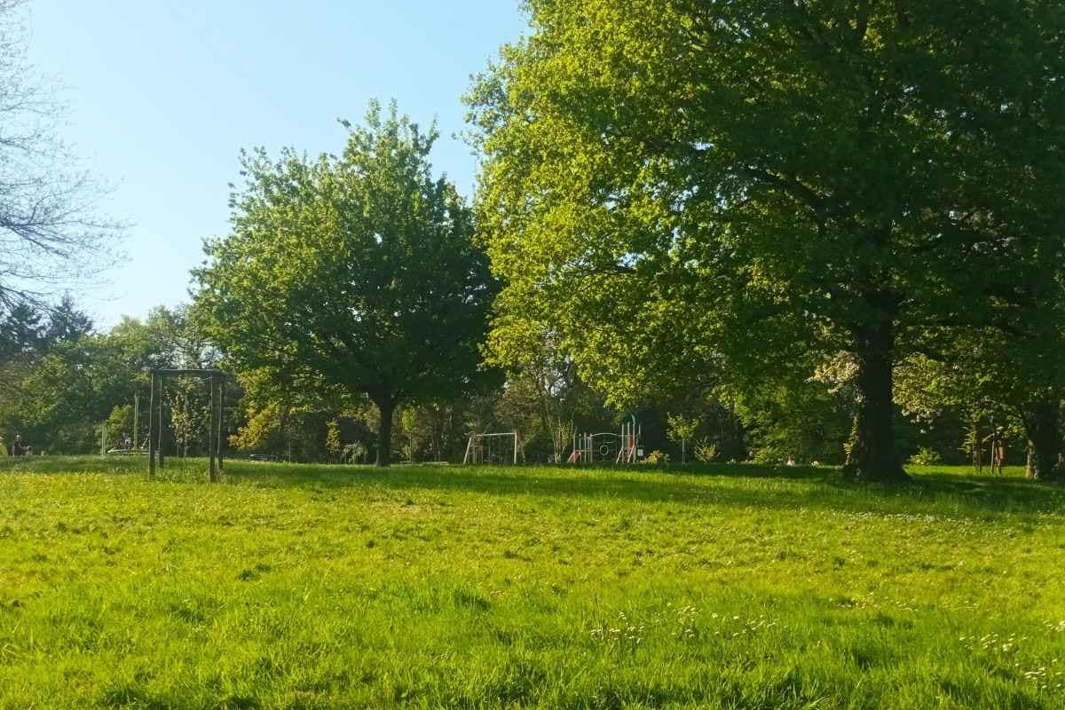 vu sur la prairie et l'aire de jeux de l'étang des platanes lors d’une balade dogfriendly à Missillac