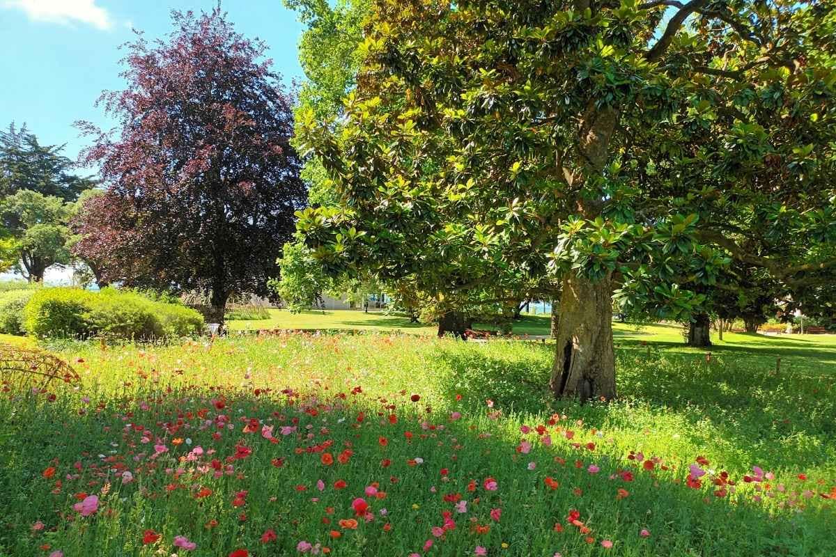 Parcs et Jardins avec son chien