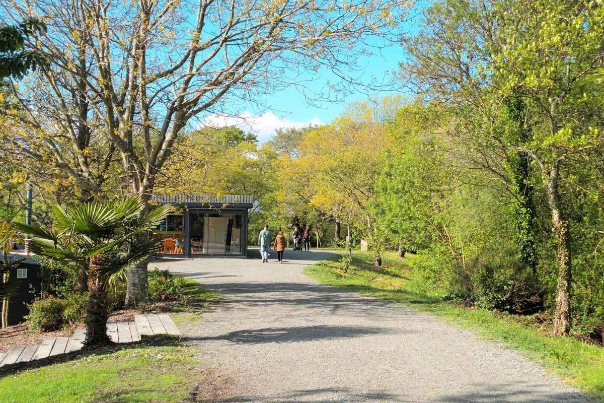 Balades & Randonnées avec son chien :