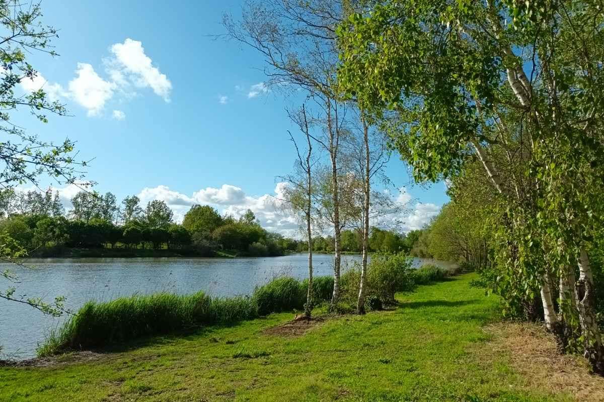 Balades & Randonnées avec son chien :