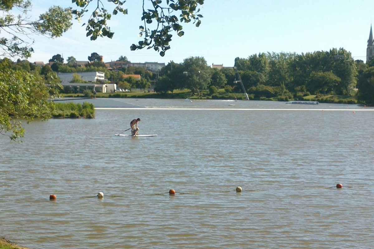 Balades & Randonnées avec son chien :