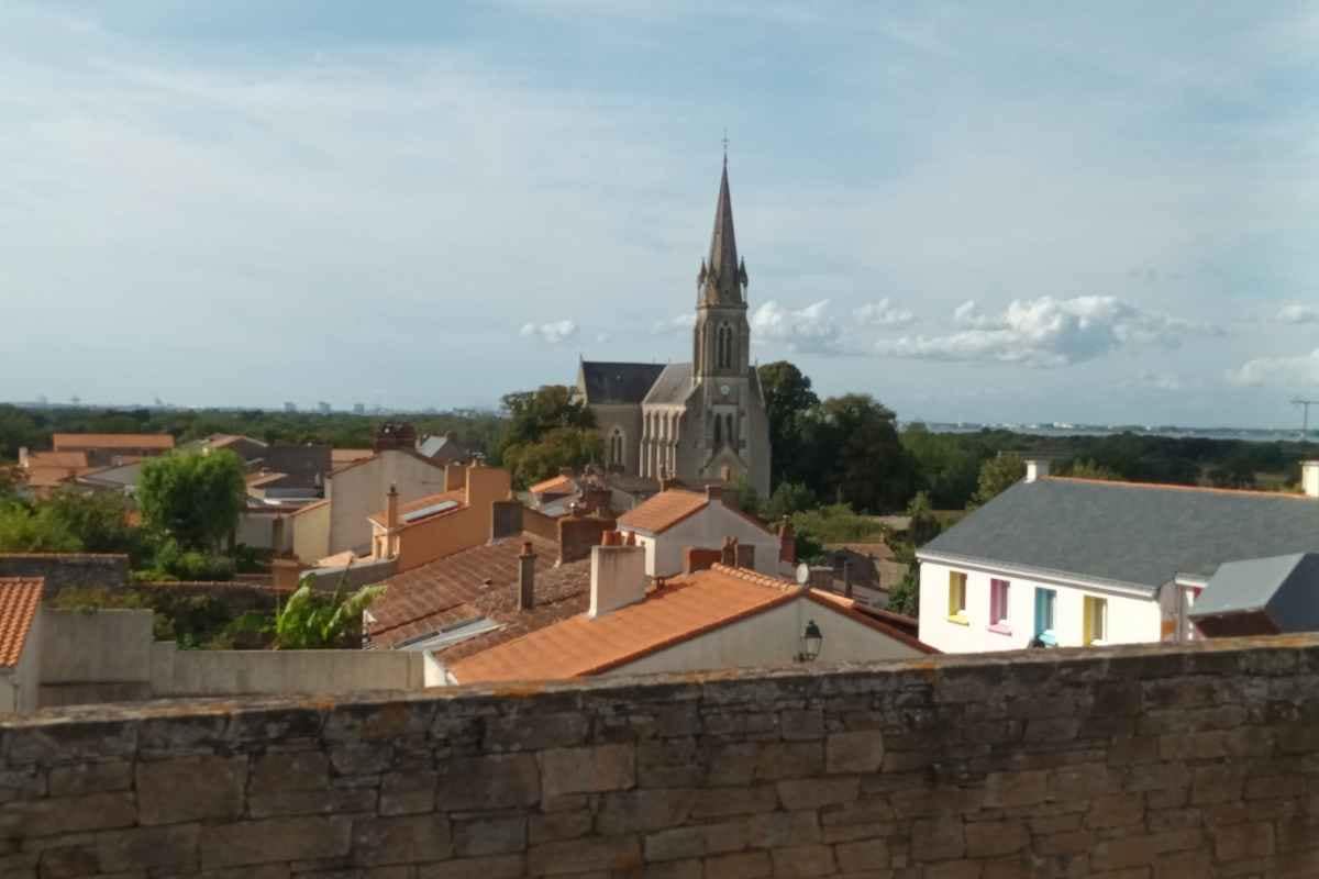 Balades & Randonnées avec son chien :