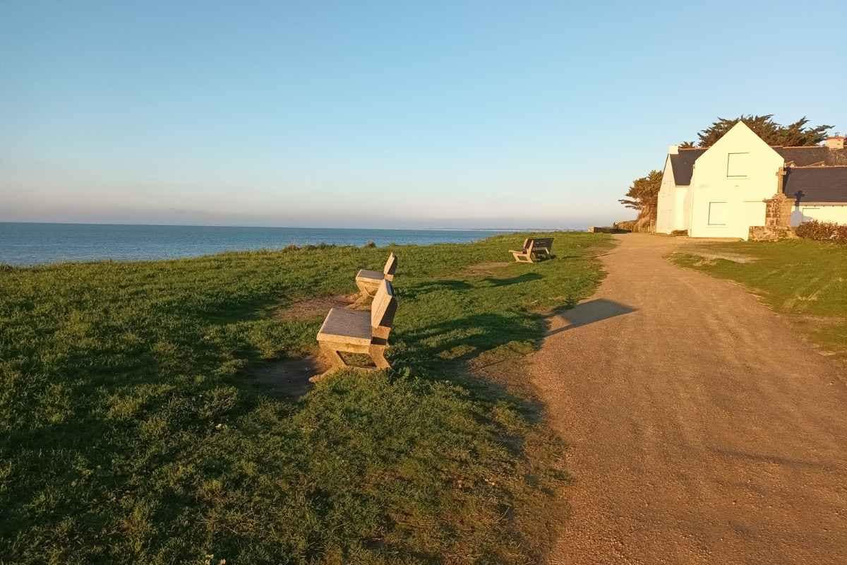 Balades & Randonnées avec son chien :