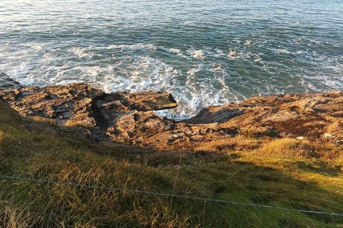Balades & Randonnées avec son chien :