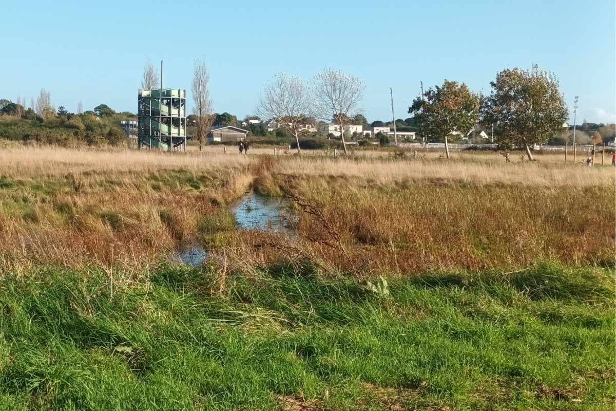 Parcs et Jardins avec son chien : marais et tour énergie verte du parc de l'hippodrome de pornichet