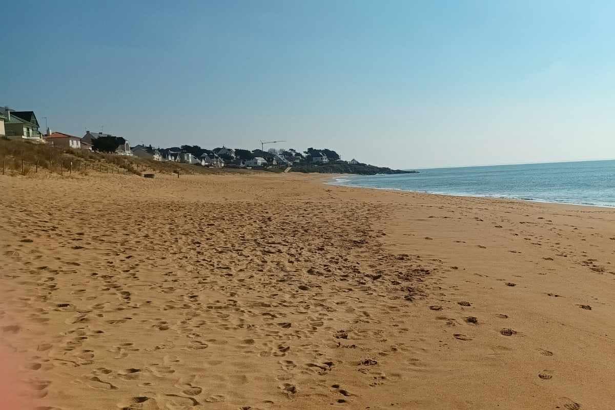 Les plages de Loire-Atlantique avec son chien : plage de bonne source vers la Pointe de Congrigoux lors d'une balade chien