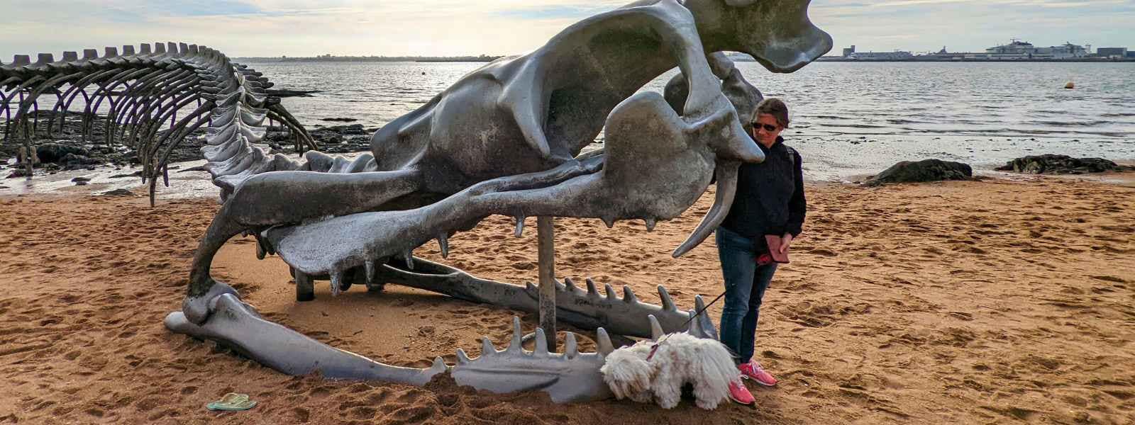 Patrimoine & Sites Culturels avec son chien : chien de race bichon havanais et sa maîtresse devant la gueule de la sulpture du serpent d'océan à marée basse à saint-brevin