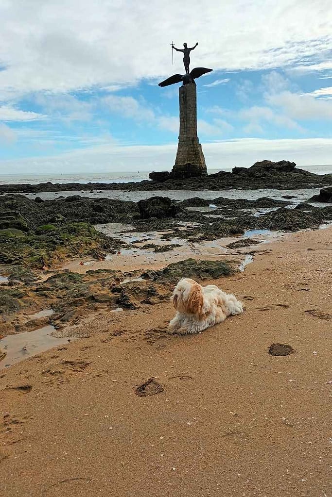 Zitou, le chien reporter allongé sur la grande plage de Saint-Nazaire devant le monument américain "Le Sammy"