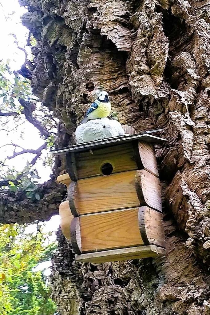 Parcs et Jardins avec son chien : Mésange en résine sur son nichoir bois qui chante dès que l'on passe devant au jardin des plantes de Saint-Nazaire