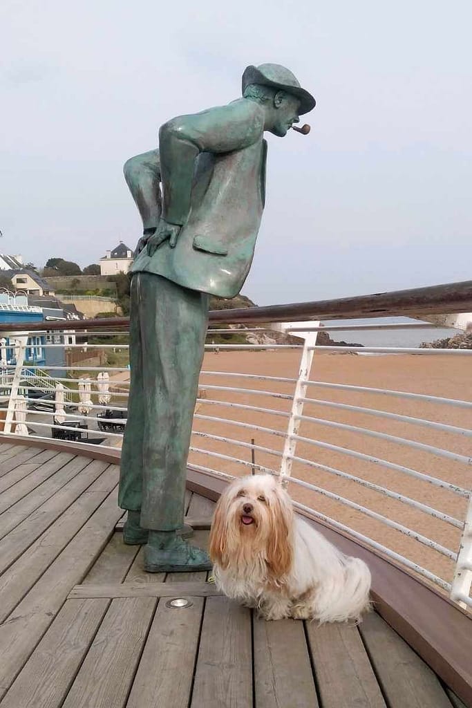 Les plages de Loire-Atlantique avec son chien : Chien posant devant Mr Hulot avec sa pipe en 2022