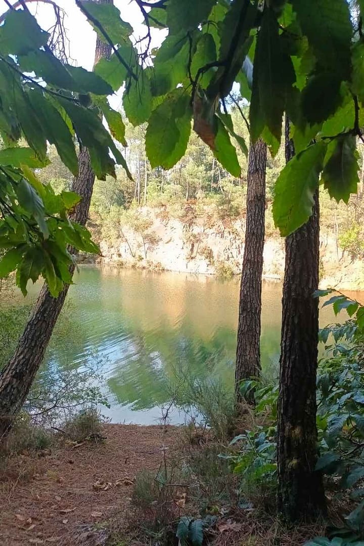 Balades & Randonnées avec son chien :