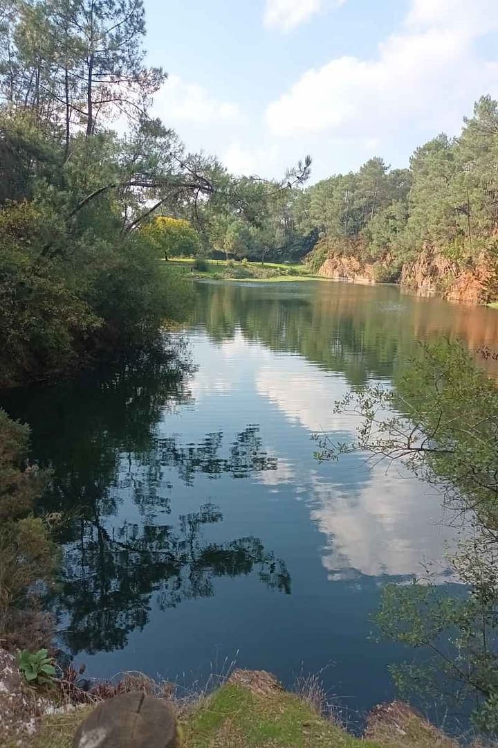 Balades & Randonnées avec son chien :