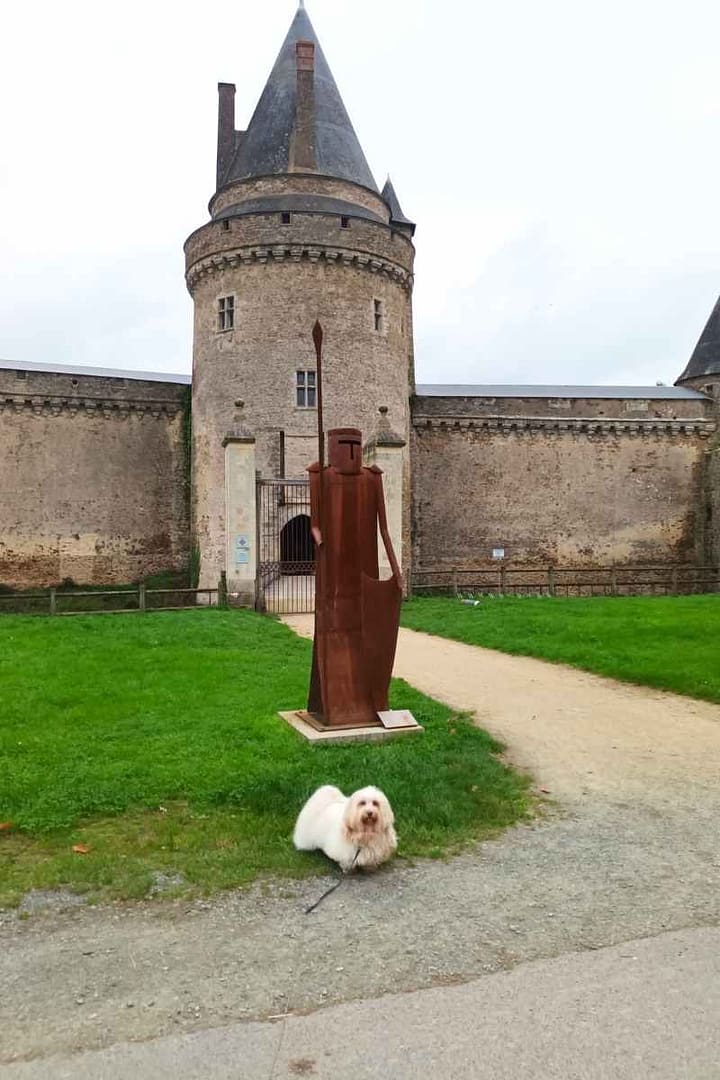 Bichon Havanais posant devant une sculpture à l'entrée du Château de la Groulais, Blain.